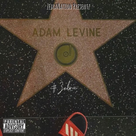Adam Levine | Boomplay Music