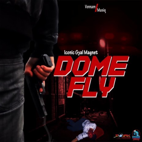Dome Fly | Boomplay Music