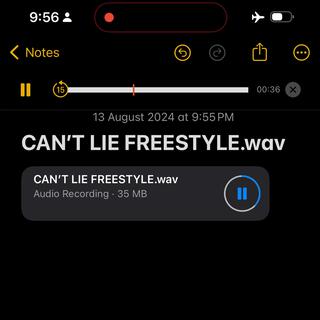 CAN'T LIE FREESTYLE