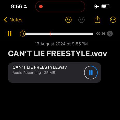 CAN'T LIE FREESTYLE | Boomplay Music