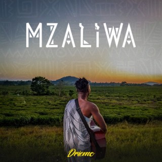 Mzaliwa | Boomplay Music