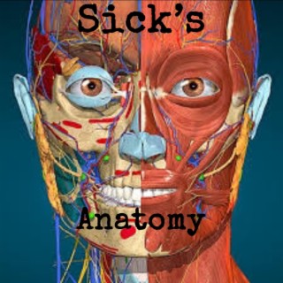sick's anatomy lyrics | Boomplay Music