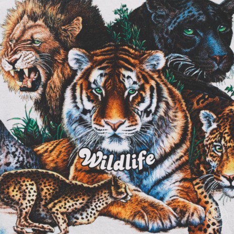 Wildlife | Boomplay Music