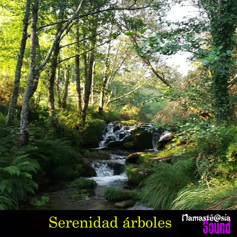 Serenidad árboles | Boomplay Music