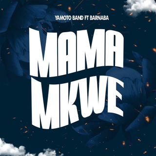 Mama Mkwe lyrics | Boomplay Music