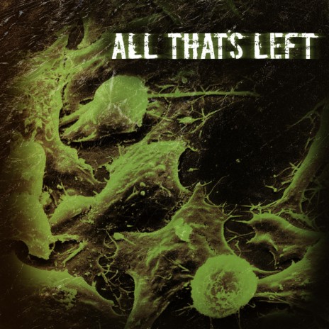 All That's Left | Boomplay Music