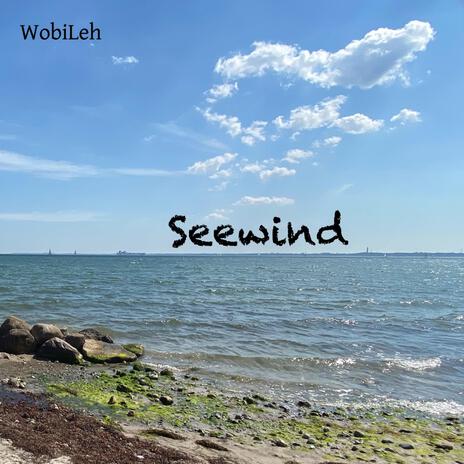 Seewind | Boomplay Music