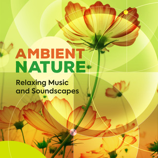 Ambient Nature - Relaxing Music and Soundscapes