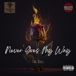 Never Goes My Way lyrics | Boomplay Music