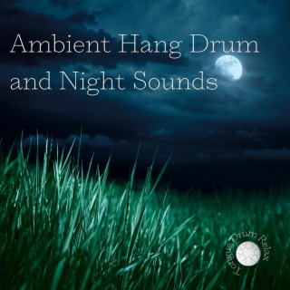 Ambient Hang Drum and Night Sounds