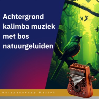 Achtergrond kalimba muziek met bos natuurgeluiden