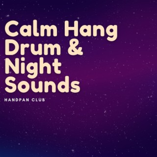 Calm Hang Drum & Night Sounds