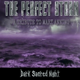 Dark Sacred Night