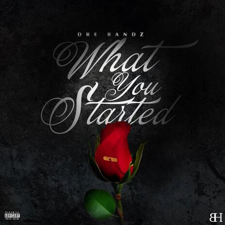 What You Started | Boomplay Music