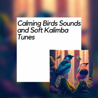 Calming Birds Sounds and Soft Kalimba Tunes