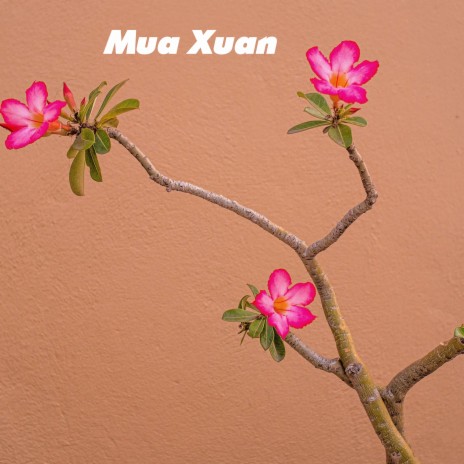 Mua Xuan | Boomplay Music