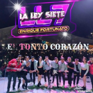 Tonto Corazon (Radio Edit)