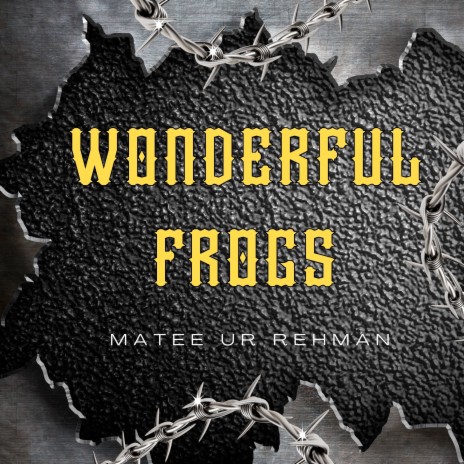 Wonderful Frogs | Boomplay Music