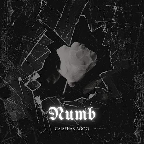 NUMB | Boomplay Music