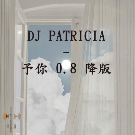 DJ PATRICIA -予你 0.8 降调版