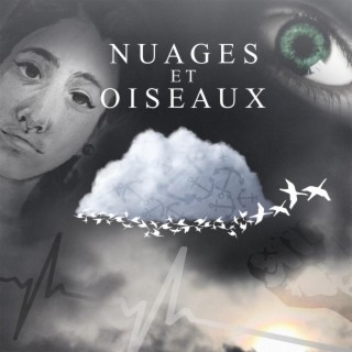 Nuages et oiseaux