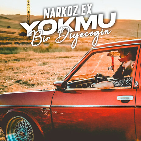 Yok mu Bir Diyeceğin | Boomplay Music