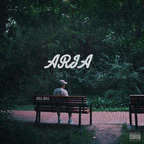 ARIA | Boomplay Music