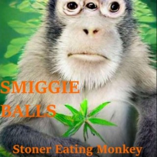 Stoner Eating Monkey