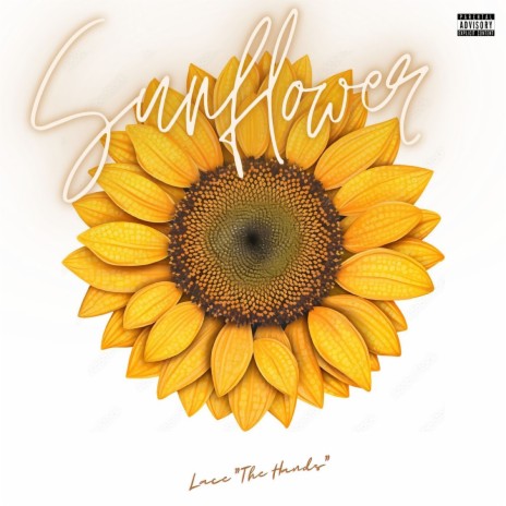 Sunflower | Boomplay Music