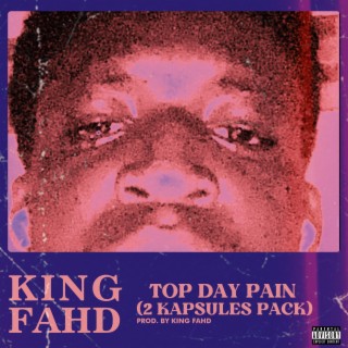 TOP DAY PAIN (2 KAPSULES)