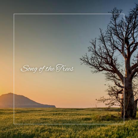 Song of the Trees | Boomplay Music