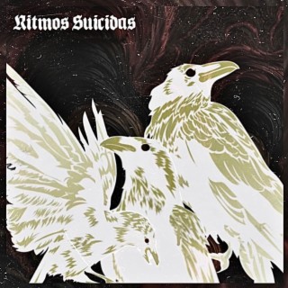 Ritmos Suicidas lyrics | Boomplay Music