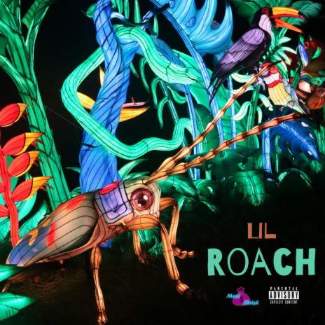 Lil Roach | Boomplay Music