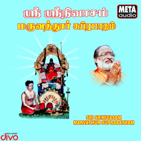 Maruthuvar Subrabatham ft. D V Ramani & Sengathir Vanam | Boomplay Music