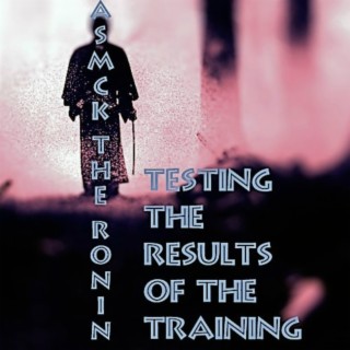 Asmk the Ronin: Testing the Results of the Training