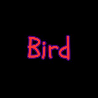 Bird