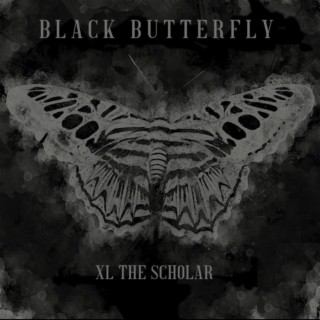 Black Butterfly