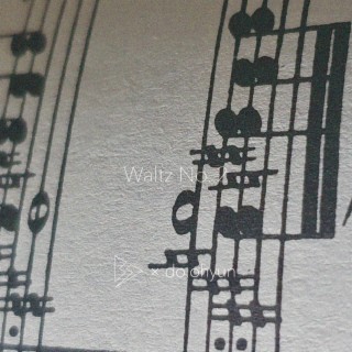 Waltz No. 2