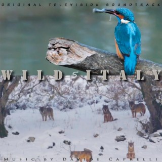 WILD ITALY 5 (Original Television Series Soundtrack)