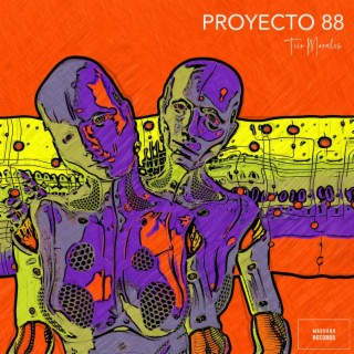 Proyecto 88