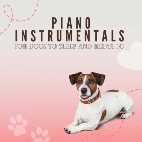 Pets sleeping musics ft. Pet Music Therapy & PETS LOVE MUSIC | Boomplay Music