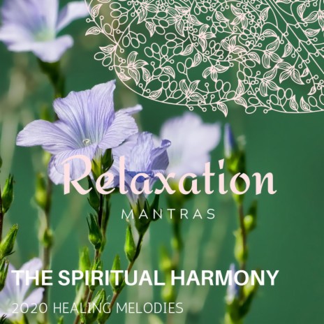 My New Heaven ft. Zen Healing Melodies & Calm Music