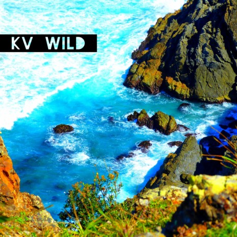 Wild | Boomplay Music