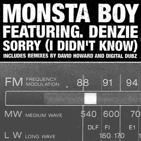 Sorry! (I Didn't Know) (Original Radio Edit) | Boomplay Music