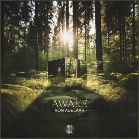 Awake | Boomplay Music