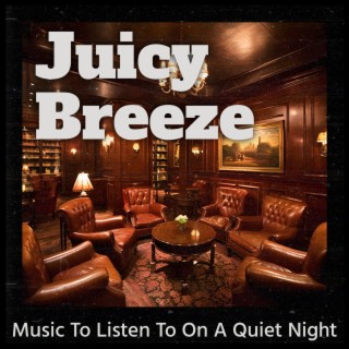 Music to Listen to on a Quiet Night