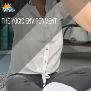 The Yogic Environment