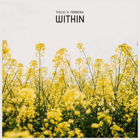 Within | Boomplay Music