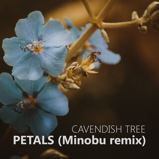 Petals (Minobu Remix)