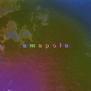 Amapola